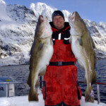 fishing-boat-norway-lofoten-0004
