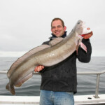 fishing-boat-shetland-cod-ling-0008