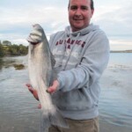 fishing-boat-shore-ireland-0004