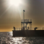 fishing-boat-waymouth-bass-turbot-0001