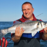 Weymouth bass and turbot