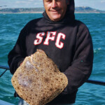 fishing-boat-waymouth-bass-turbot-0007