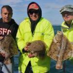 fishing-boat-waymouth-bass-turbot-0009