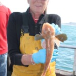 fishing-boat-weymouth-august-2014-0006