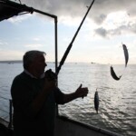 fishing-boat-weymouth-august-2014-0010
