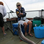 fishing-boat-weymouth-madpolka-0003