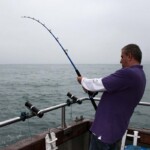 Steve into a blonde ray