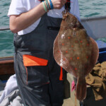 fishing-boat-weymouth-madpolka-plaice-trip-0012