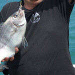fishing-boat-weymouth-madpolka-plaice-trip-0013