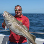 fishing-boat-weymouth-supanova-cod-0003