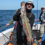 fishing-boat-weymouth-supanova-cod-0004