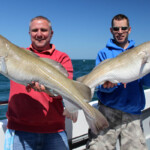 fishing-boat-weymouth-supanova-cod-0007