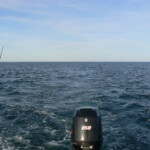 fishing-feature-cape-cod-stripers-2016-002