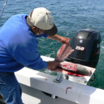fishing-feature-cape-cod-stripers-2016-006