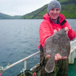 faroe islands plaice