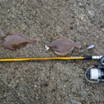 fishing-feature-faroe-islands-2016-0013