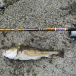 fishing-feature-faroe-islands-2016-0015