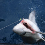 fishing-feature-faroe-islands-2016-0026