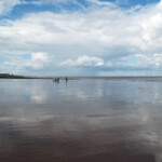 fishing-feature-lincolnshire-hounds-smoothhounds-2016-001