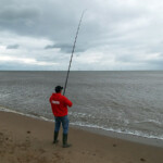 fishing-feature-lincolnshire-hounds-smoothhounds-2016-004