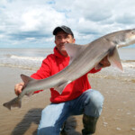 fishing-feature-lincolnshire-hounds-smoothhounds-2016-005