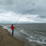 fishing-feature-lincolnshire-hounds-smoothhounds-2016-007