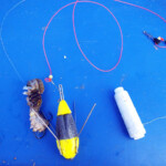 fishing-feature-lincolnshire-hounds-smoothhounds-2016-008