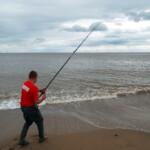 fishing-feature-lincolnshire-hounds-smoothhounds-2016-009