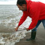 fishing-feature-lincolnshire-hounds-smoothhounds-2016-010