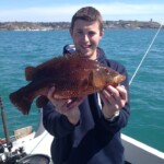 fishing-jersey-tope-huss-bass-2014-0002