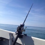 fishing-jersey-tope-huss-bass-2014-0006-1