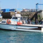 fishing-jersey-tope-huss-bass-2014-0011