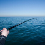 fishing-review-artico-dinamite-boat-rods-0002