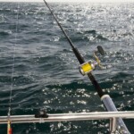 fishing-review-daiwa-lw20ha-reel-0010