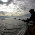 fishing-review-diawa-saltiga-2-speed-ld40-reel-0001