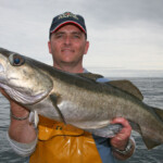 fishing-review-diawa-saltiga-2-speed-ld40-reel-0003