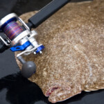 fishing-review-diawa-saltiga-2-speed-ld40-reel-0011