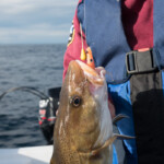 fishing-review-eddystone-eel-0018