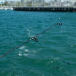 fishing-review-fladden-maxximus-nano-plus-rod-0004