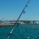 fishing-review-fladden-maxximus-nano-plus-rod-0007