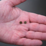 fishing-review-gac-fisheagle-cl50-reel-0014