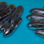 fishing-review-namix-bullet-boat-lead-moulds-0007