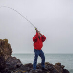 fishing-review-st-leger-renegade-rod-003