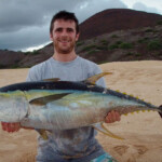 Ascension Island tuna