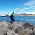 shore fishing in Iceland