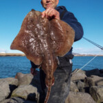fishing-shore-iceland-john-popplewell-0002