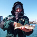 fishing-shore-iceland-john-popplewell-0008