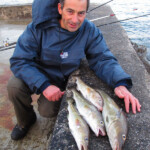 fishing-shore-ireland-beara-0002