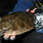 fishing-shore-lrf-lures-flounder-0002