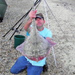 fishing-shore-st-osyth-beach-thornback-rays-0006
